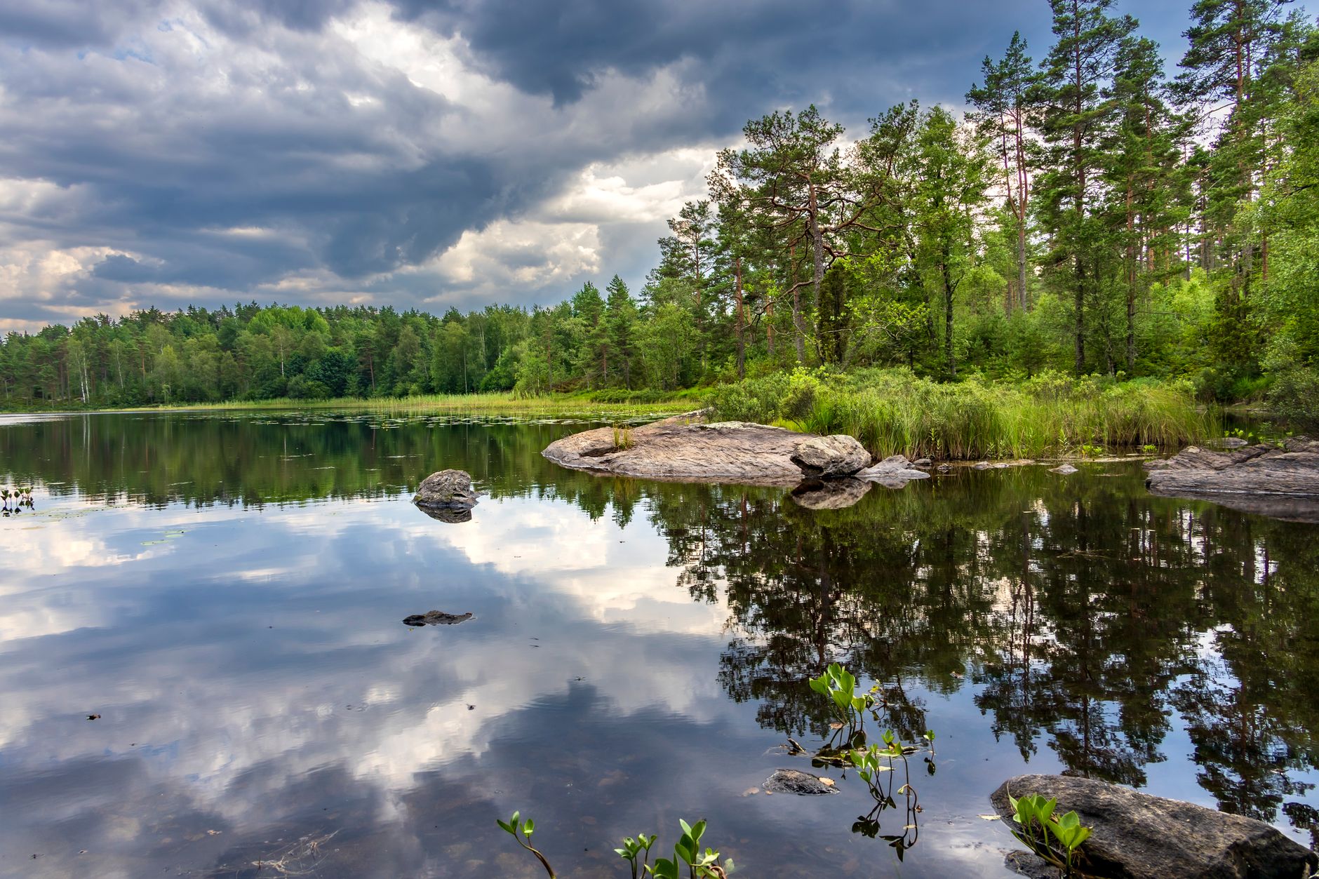 serene lake reflection in swedish forest